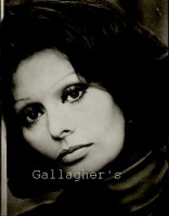 Sophia Loren photo #