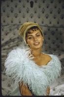 Sophia Loren photo #