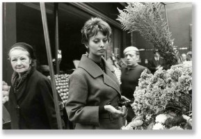 photo 21 in Sophia Loren gallery [id50542] 0000-00-00
