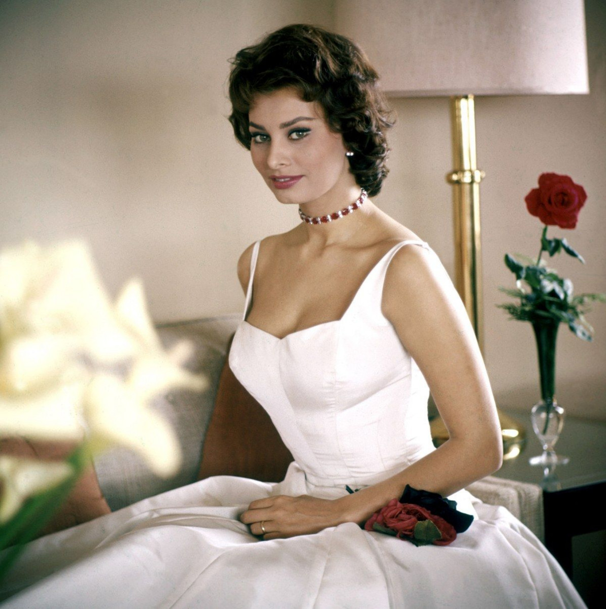 Sophia Loren: pic #1317013