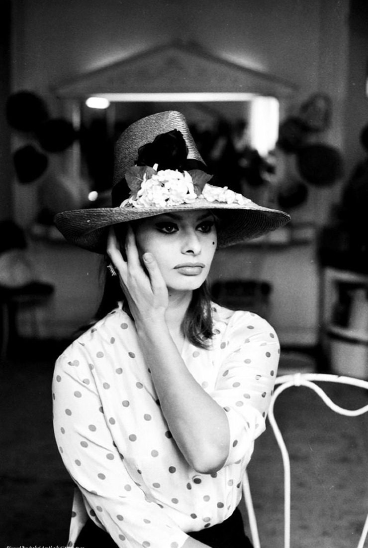 Sophia Loren: pic #965413