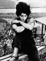photo 16 in Sophia Loren gallery [id484311] 2012-05-02