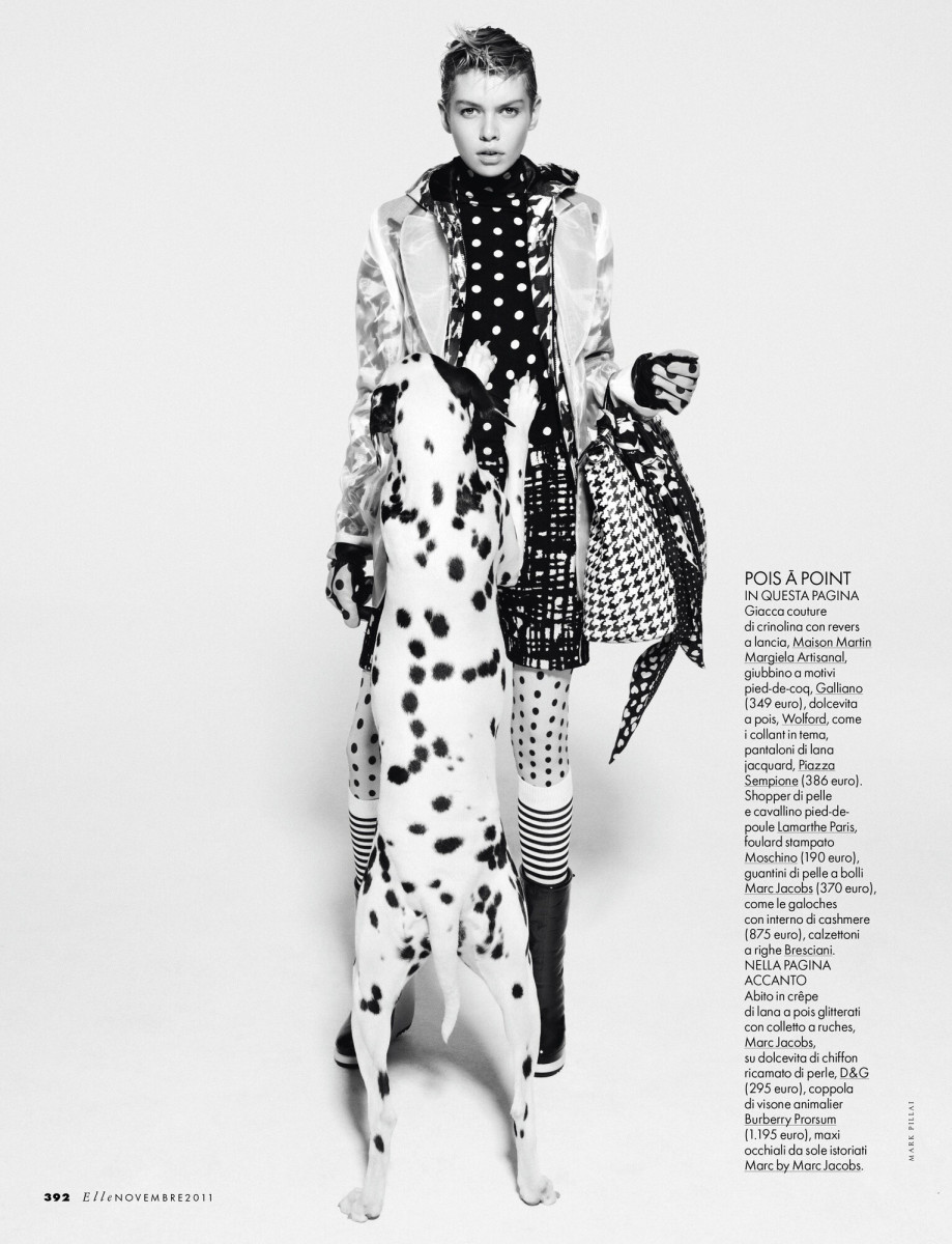 Stella Maxwell: pic #1370835