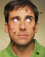 photo 12 in Steve Carell gallery [id237052] 2010-02-18