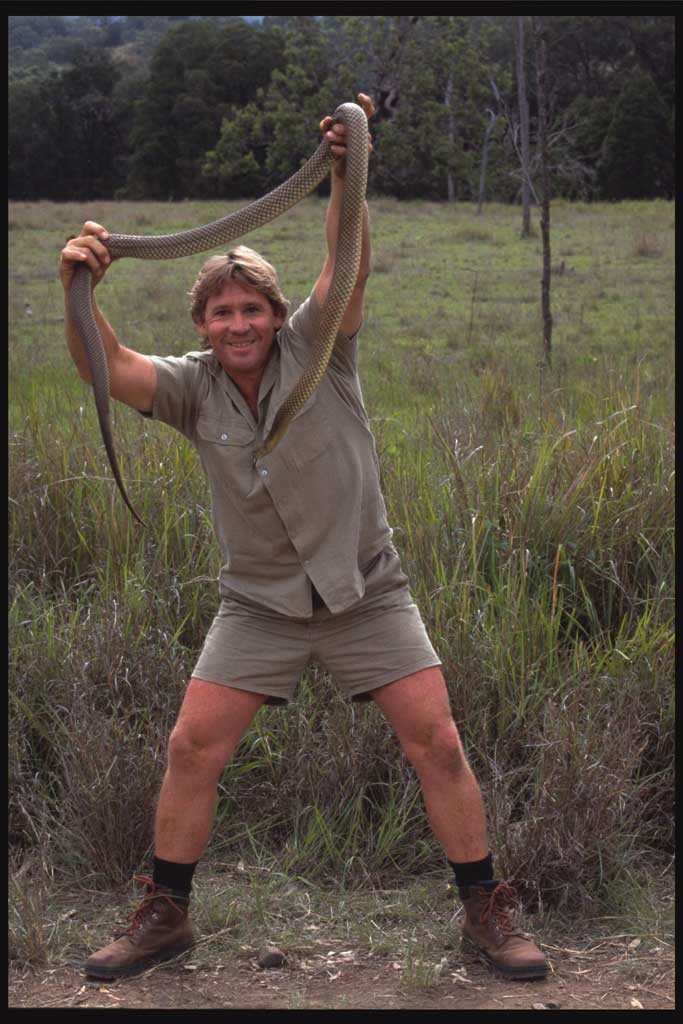 Steve Irwin: pic #205258