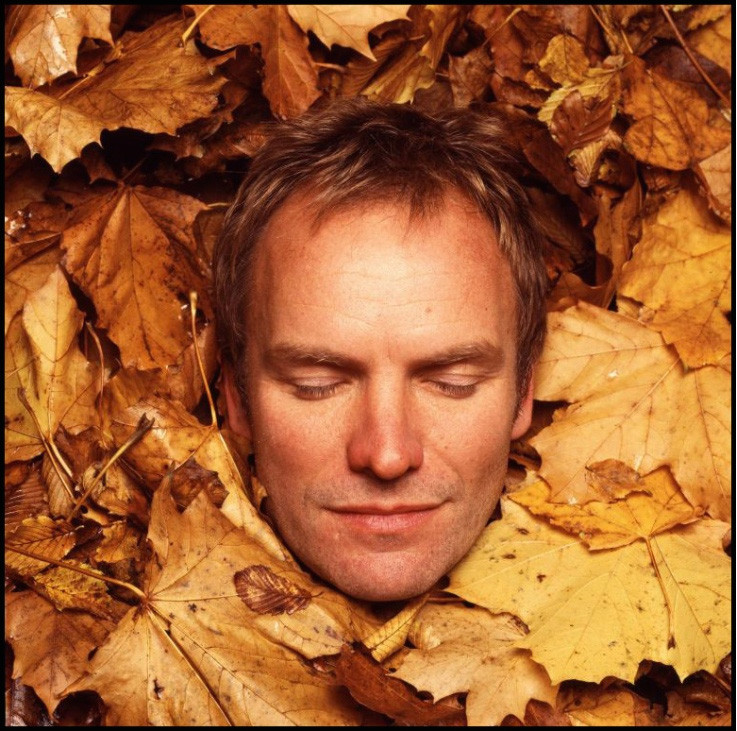 Sting: pic #80938