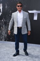 photo 13 in Stallone gallery [id782936] 2015-07-09