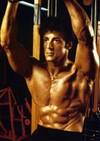 photo 21 in Stallone gallery [id480187] 2012-04-24