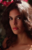 Teri Hatcher photo #