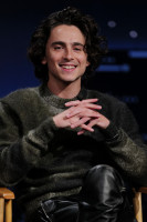 Timothee Chalamet photo #