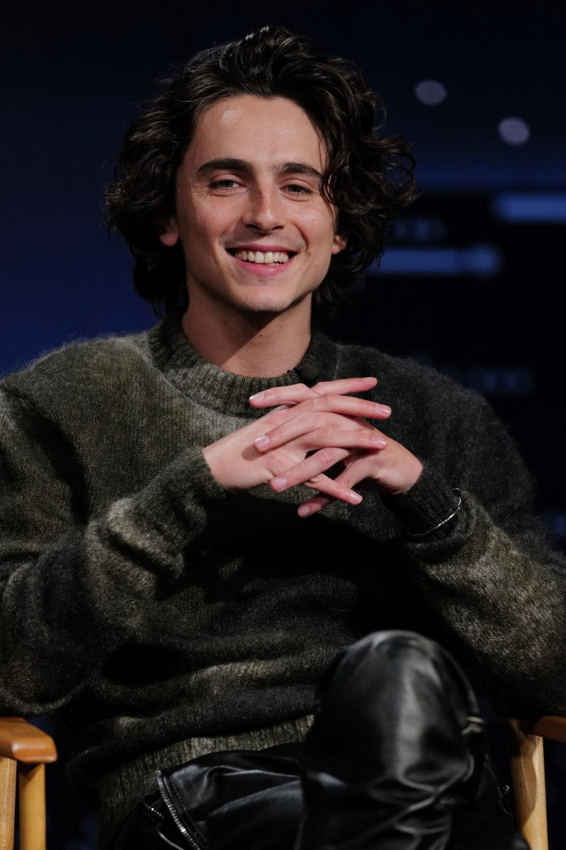 Timothee Chalamet: pic #1345137