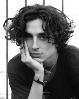 Timothee Chalamet photo #