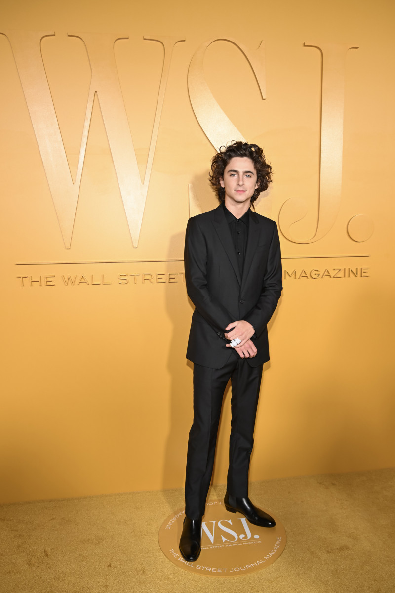 Timothee Chalamet: pic #1338193