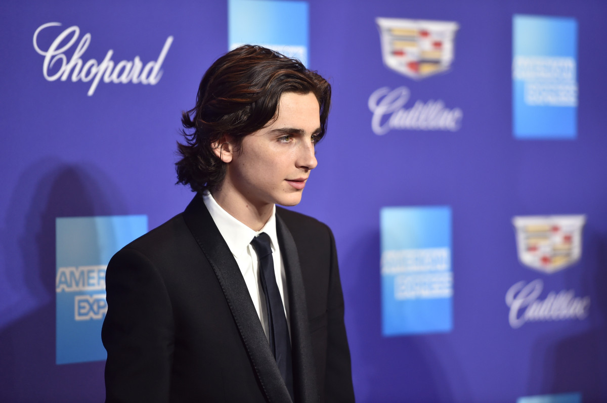 Timothee Chalamet: pic #1298642