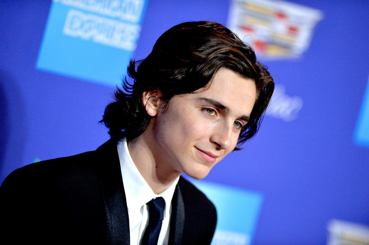 Timothee Chalamet: pic #1298648