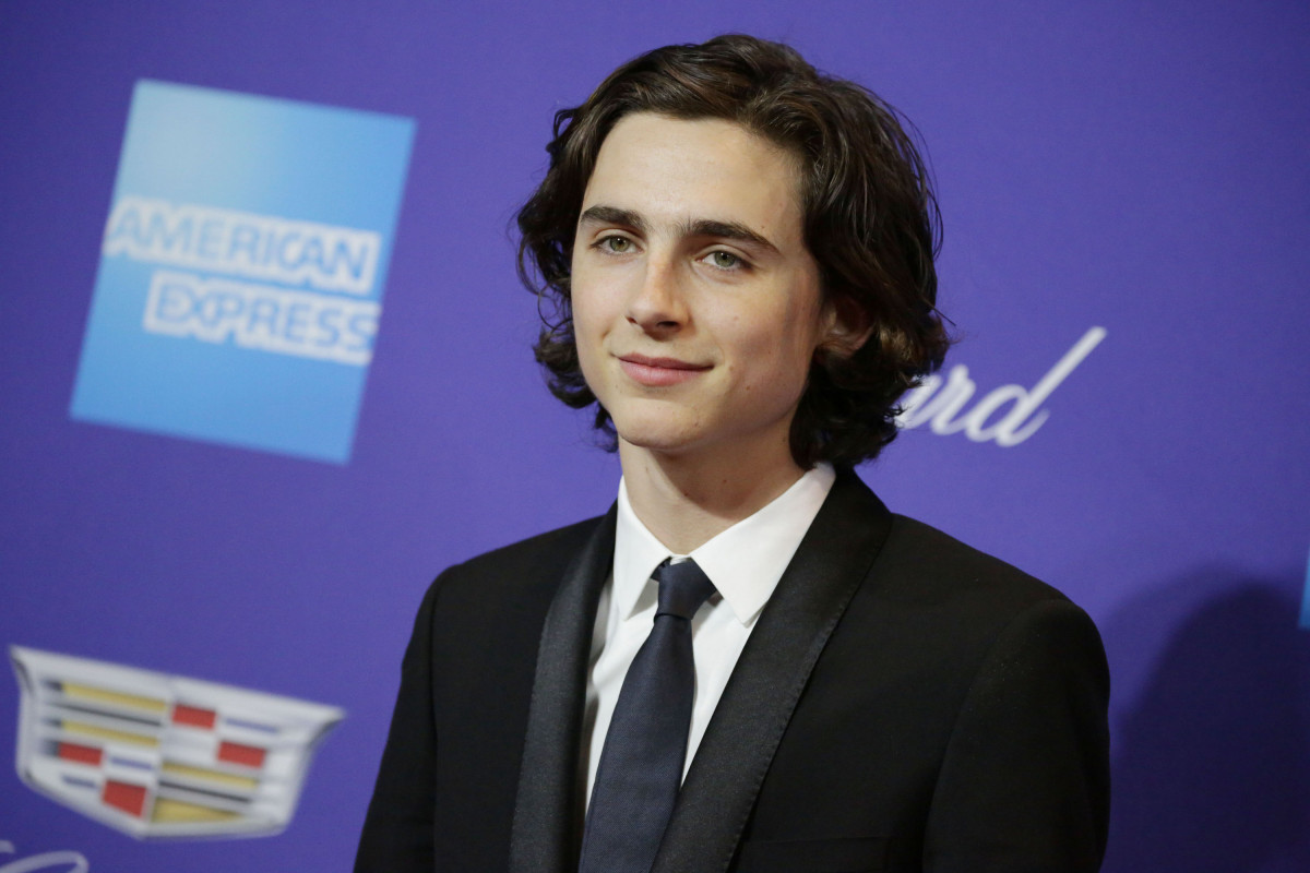 Timothee Chalamet: pic #1298650