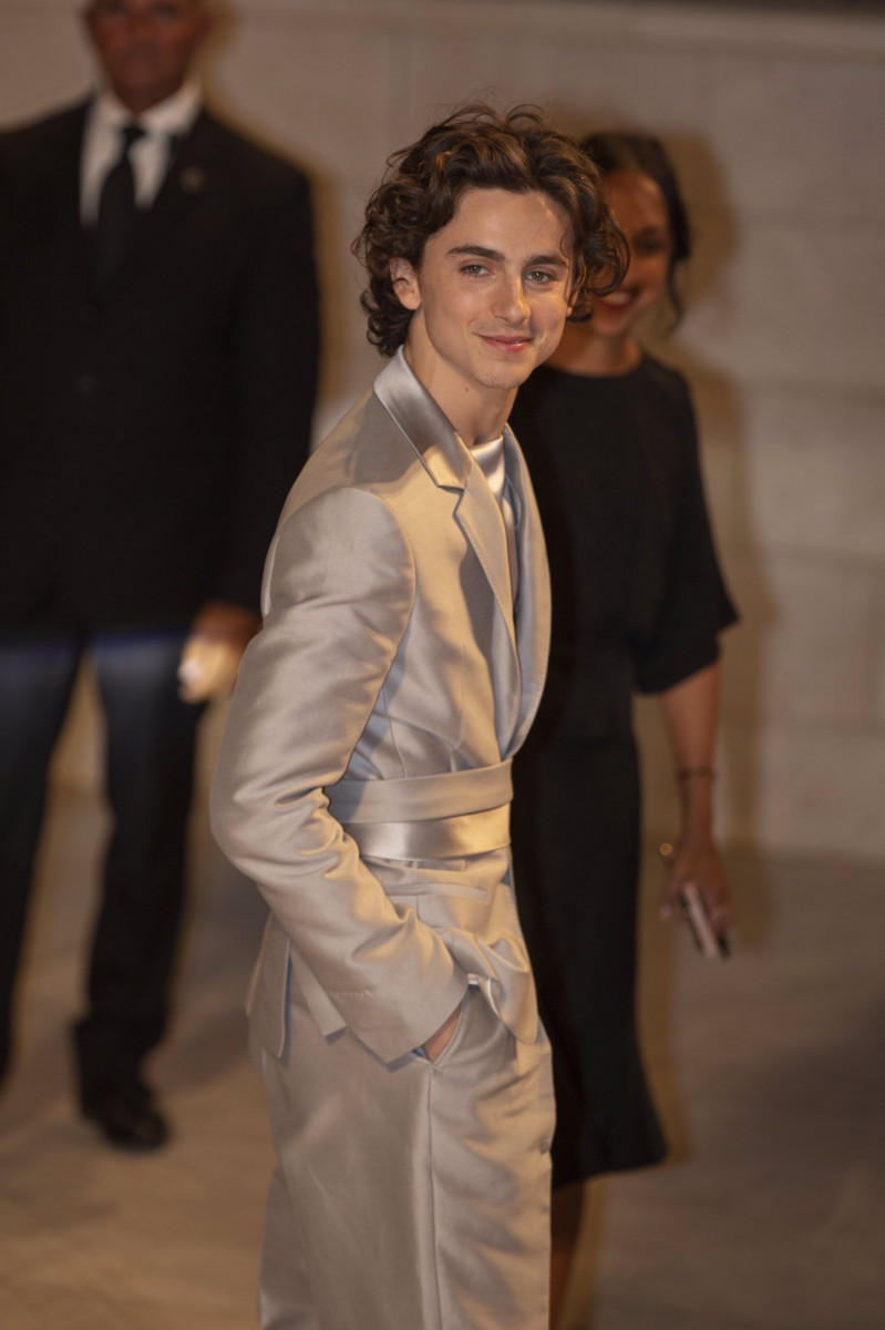 Timothee Chalamet: pic #1360425