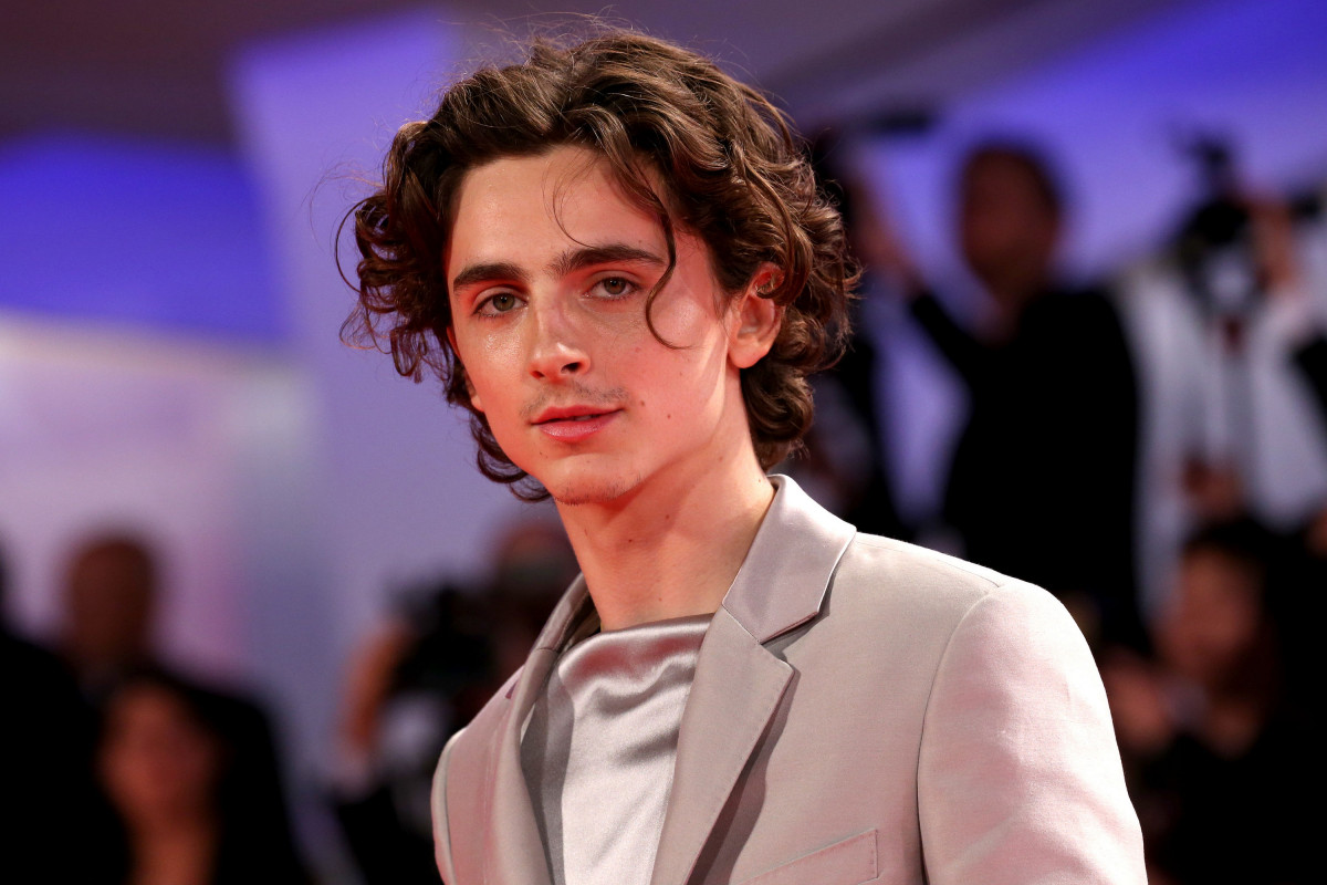 Timothee Chalamet: pic #1360424