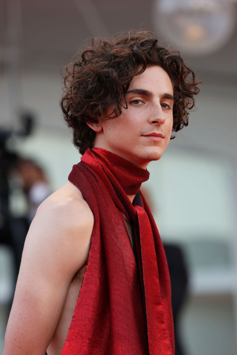 Timothee Chalamet: pic #1321566