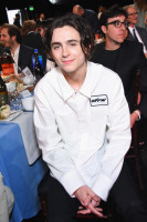 Timothee Chalamet photo #