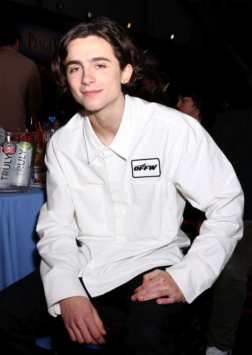 Timothee Chalamet: pic #1326197