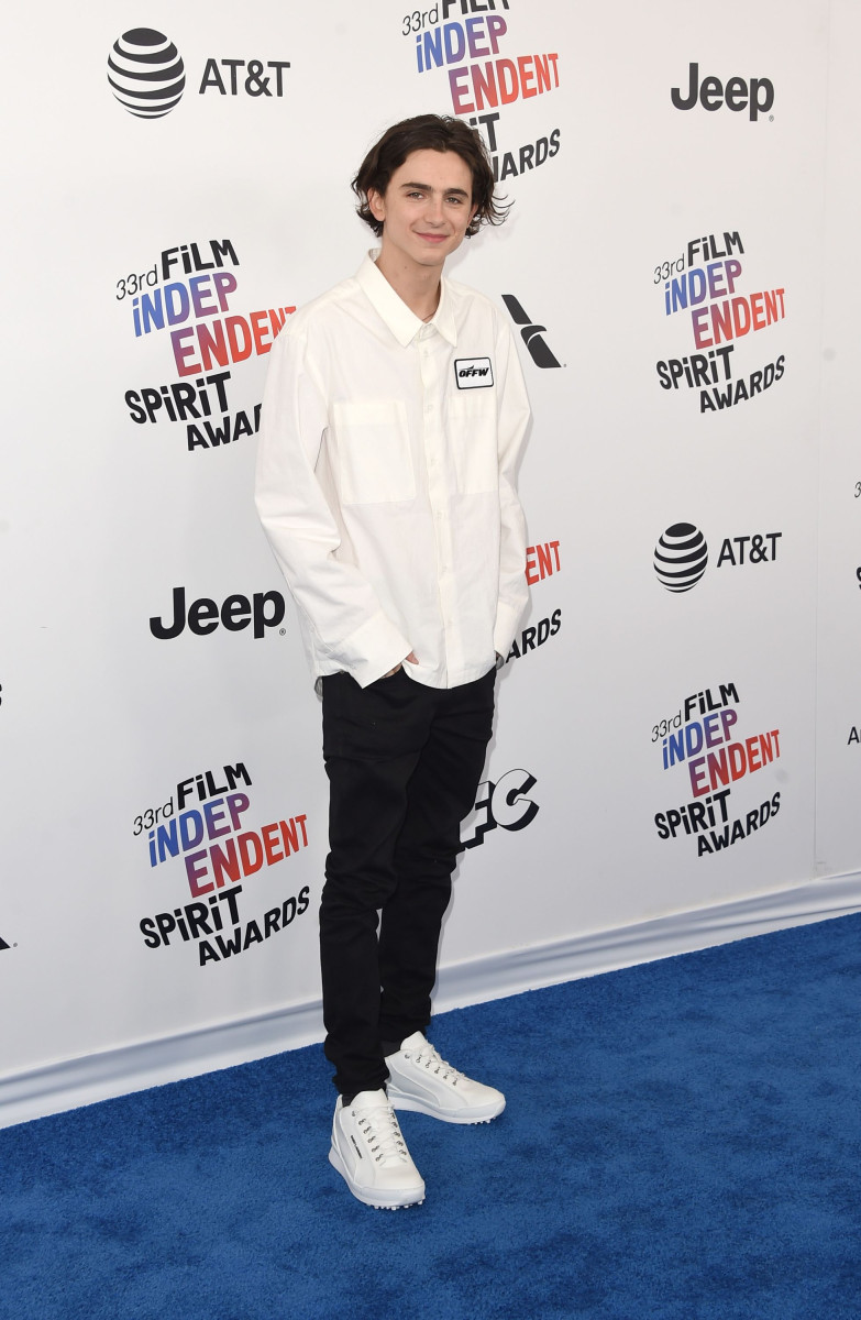 Timothee Chalamet: pic #1304129