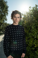 Timothee Chalamet photo #