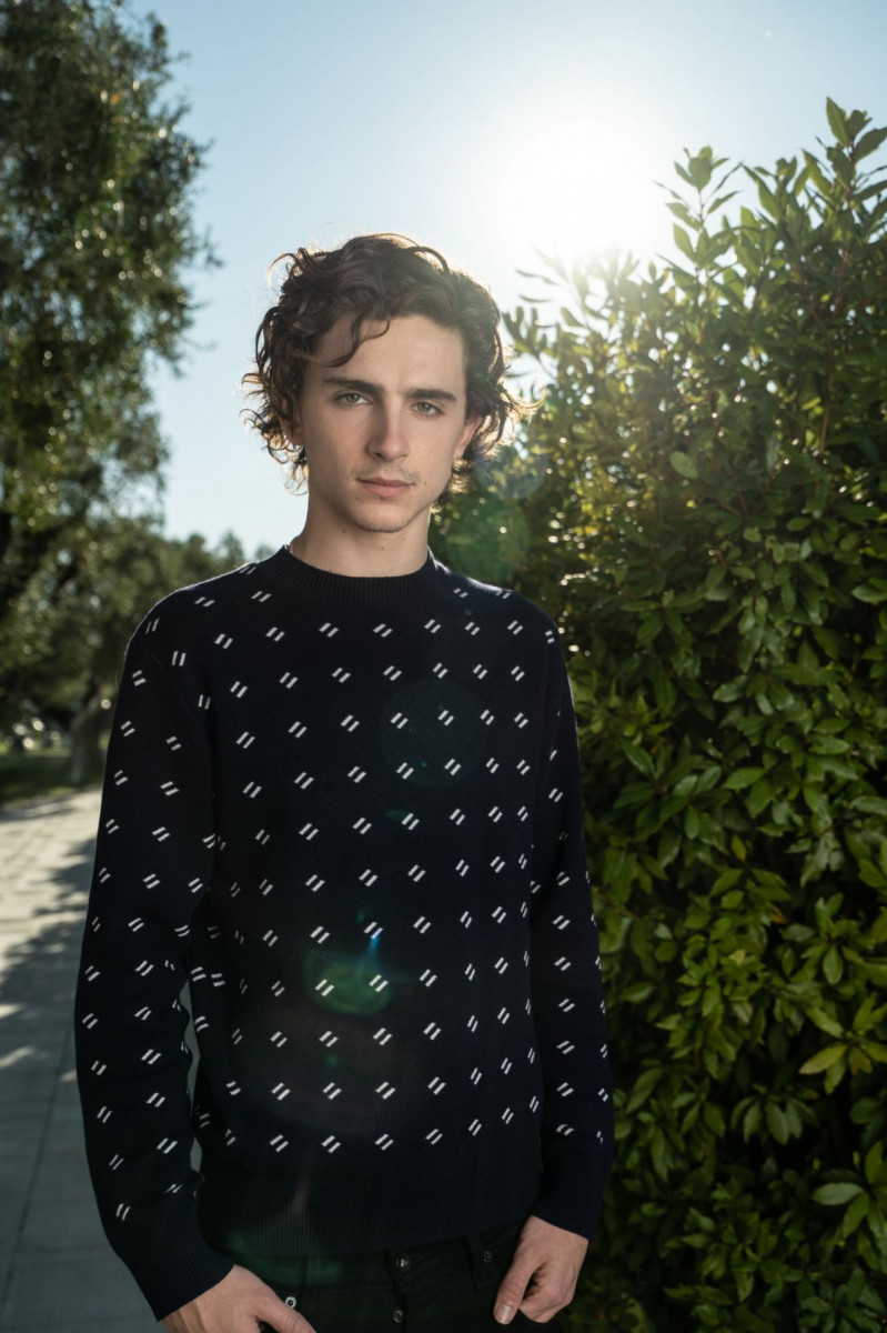 Timothee Chalamet: pic #1319559