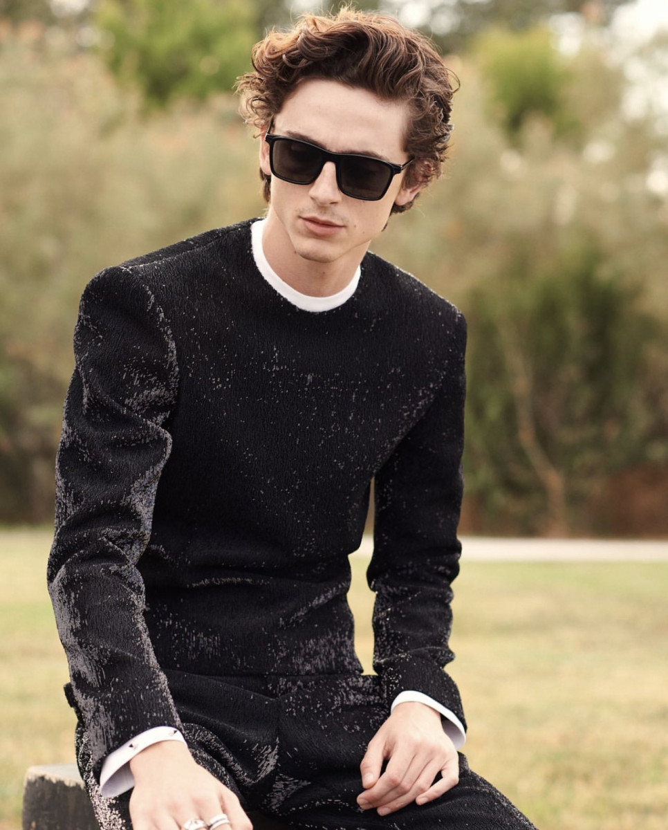 Timothee Chalamet: pic #1267637