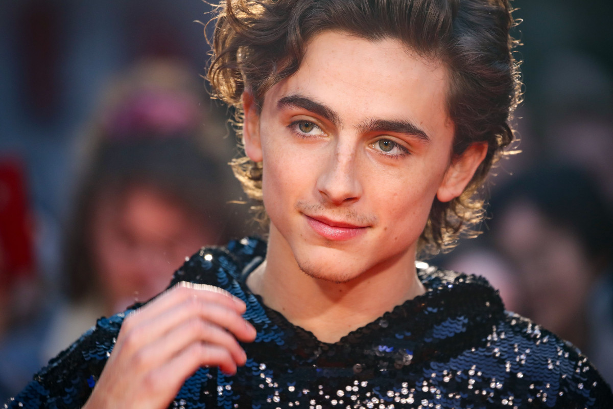 Timothee Chalamet: pic #1272744