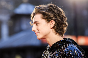 Timothee Chalamet photo #