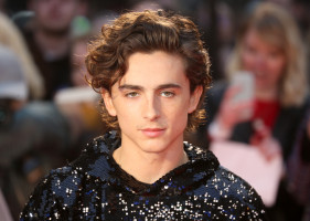 Timothee Chalamet photo #