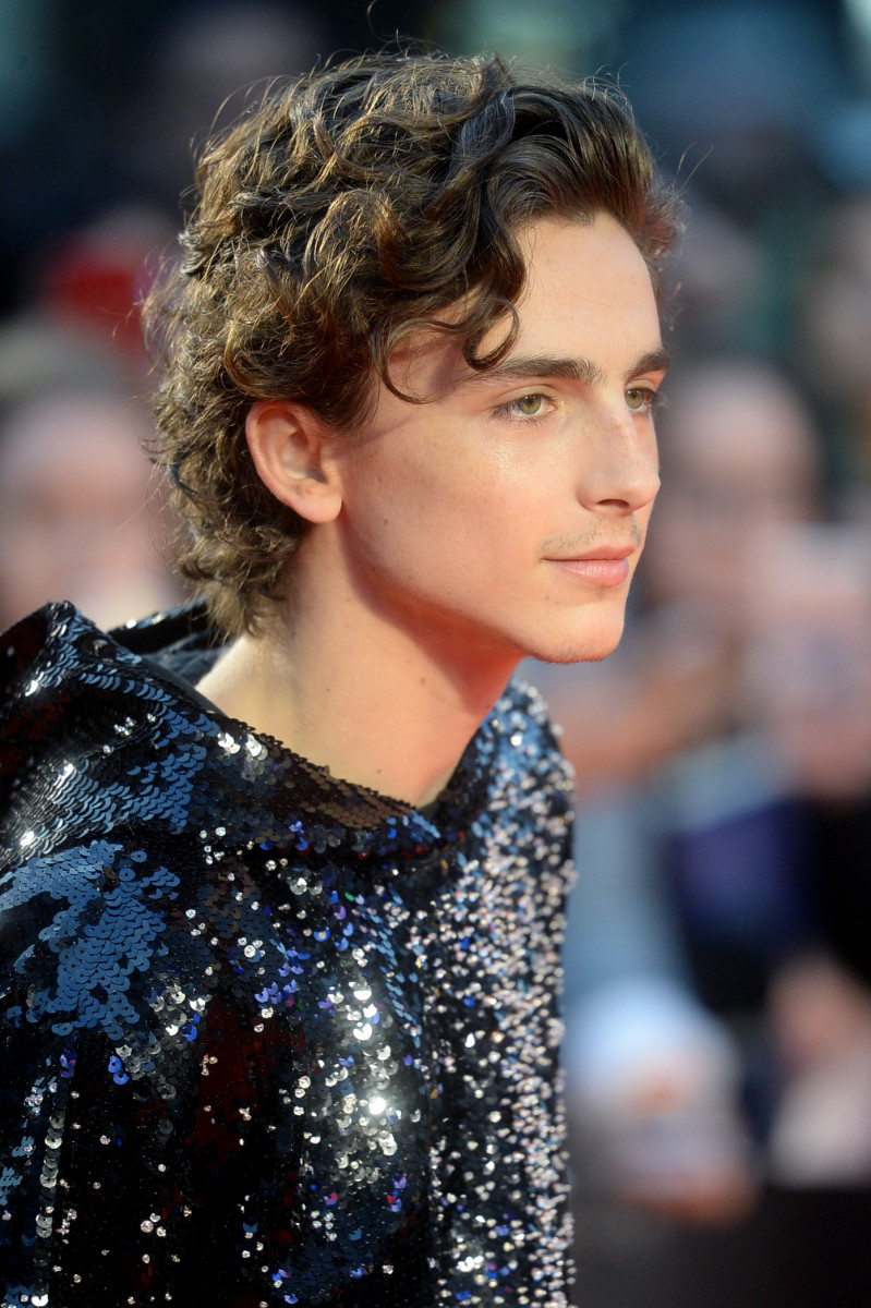 Timothee Chalamet: pic #1272607