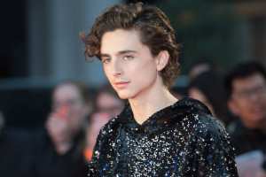 Timothee Chalamet photo #