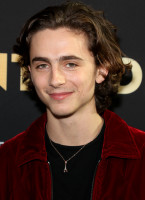 Timothee Chalamet photo #