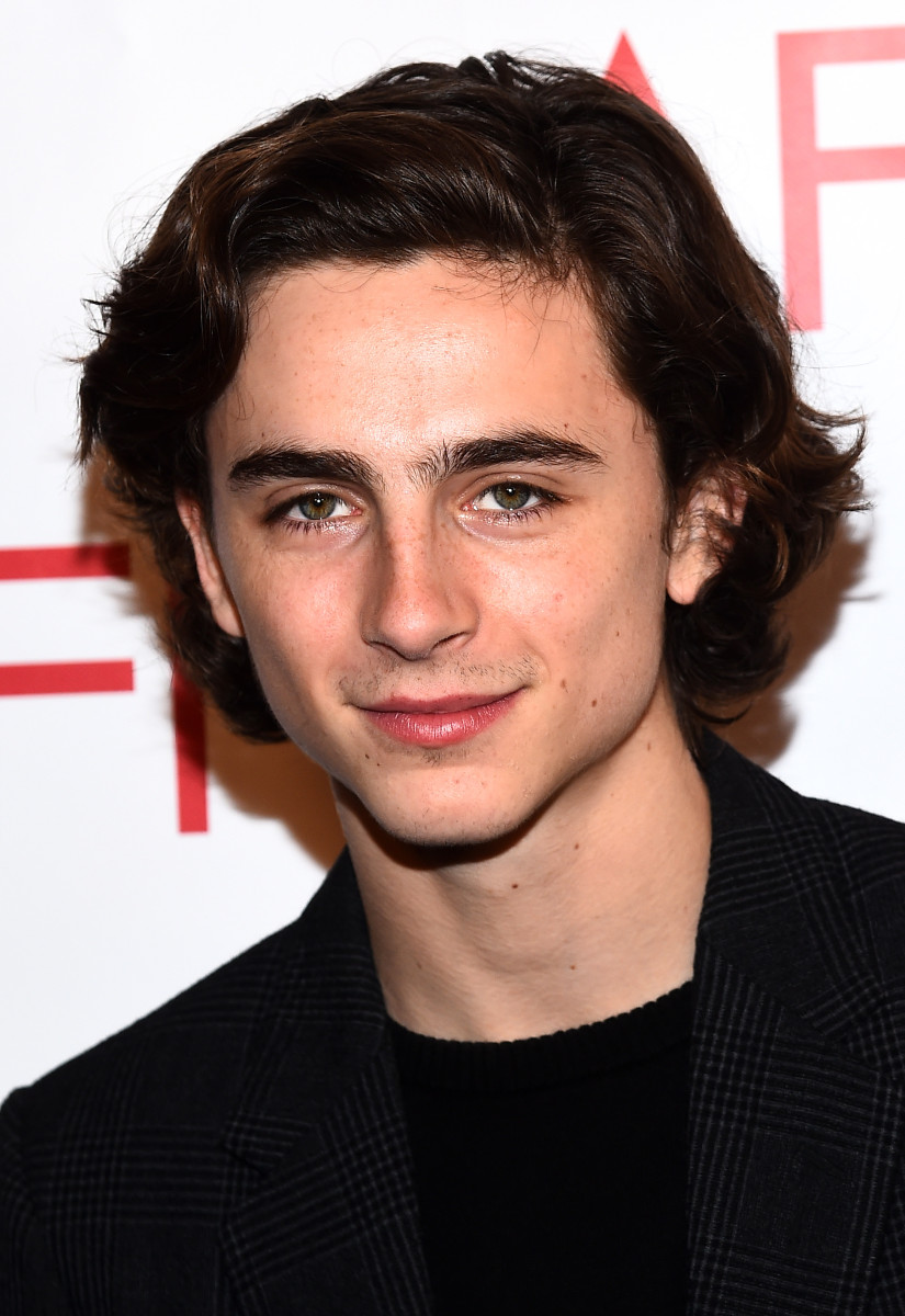 Timothee Chalamet: pic #1305931