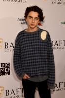 Timothee Chalamet photo #