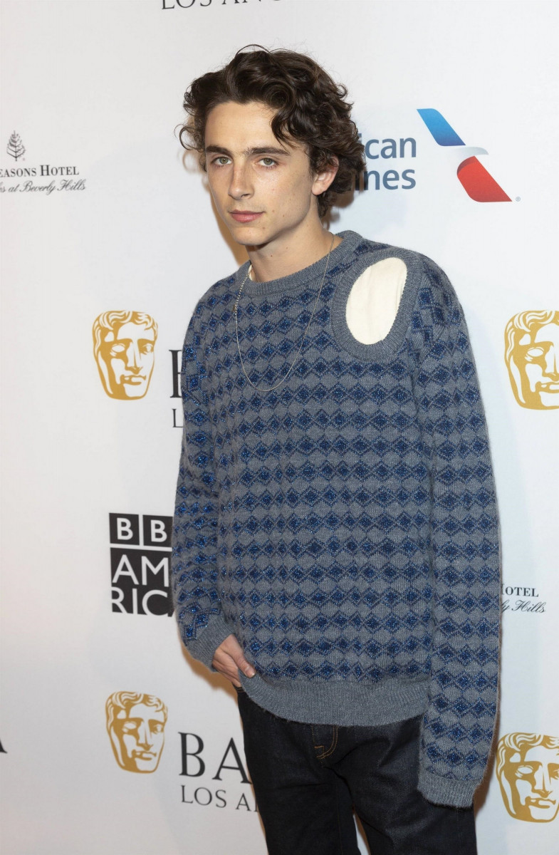 Timothee Chalamet: pic #1362028