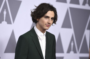 Timothee Chalamet pic #1325132