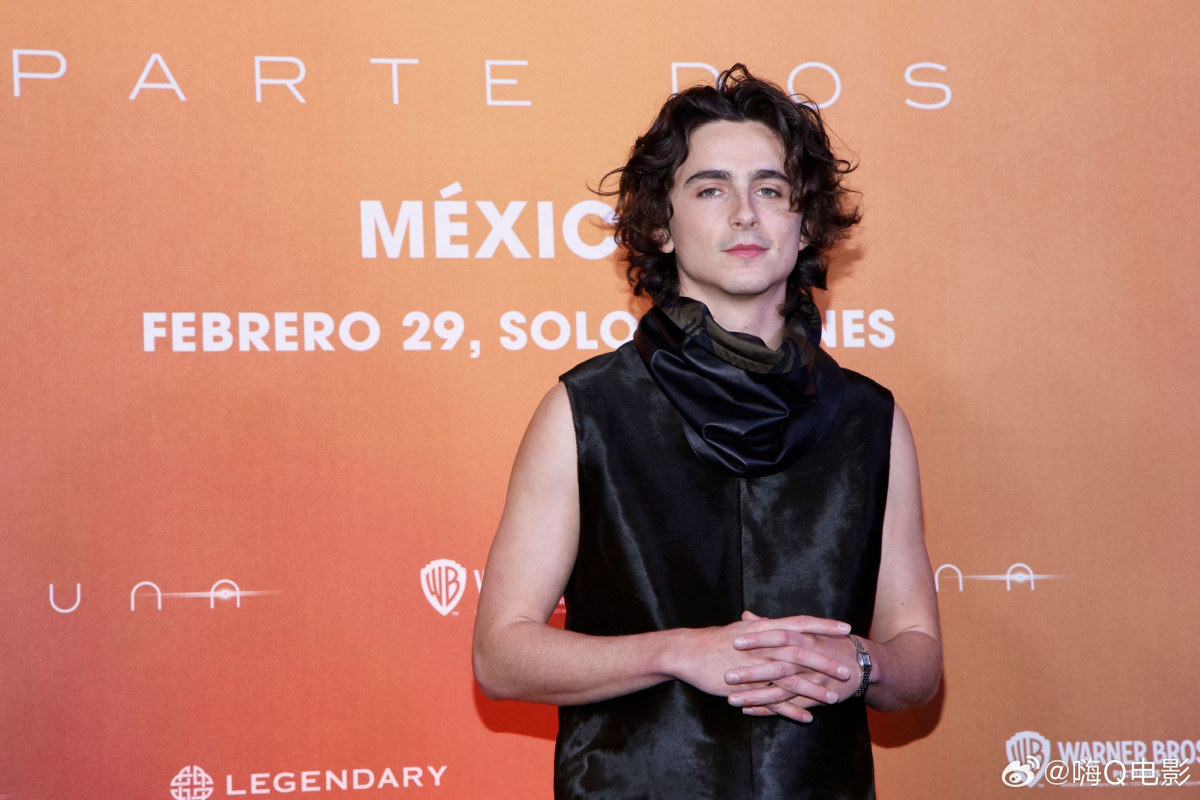 Timothee Chalamet: pic #1345223