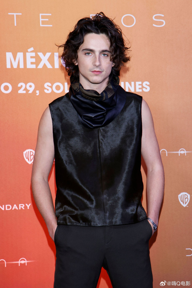 Timothee Chalamet: pic #1345459