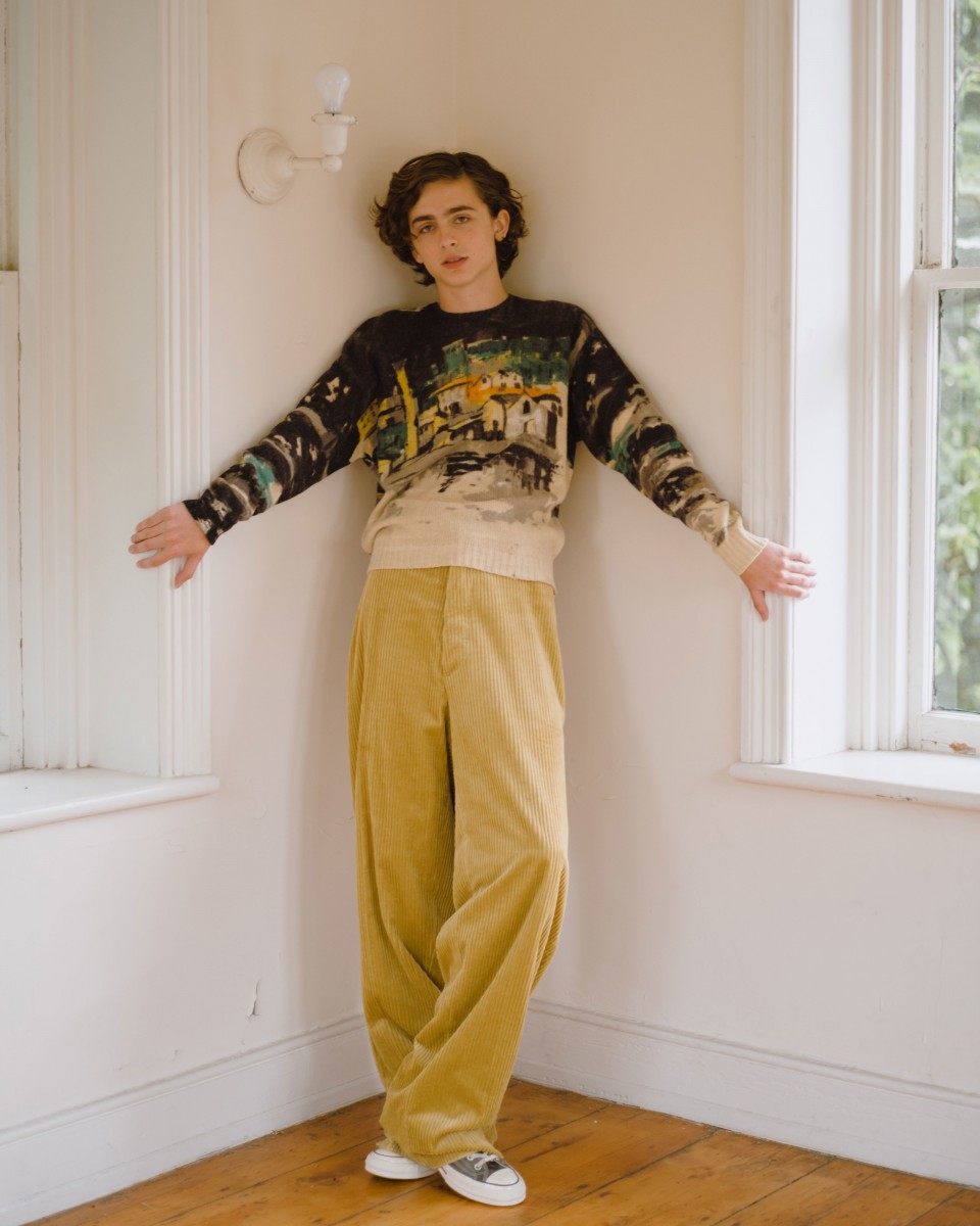 Timothee Chalamet: pic #975194