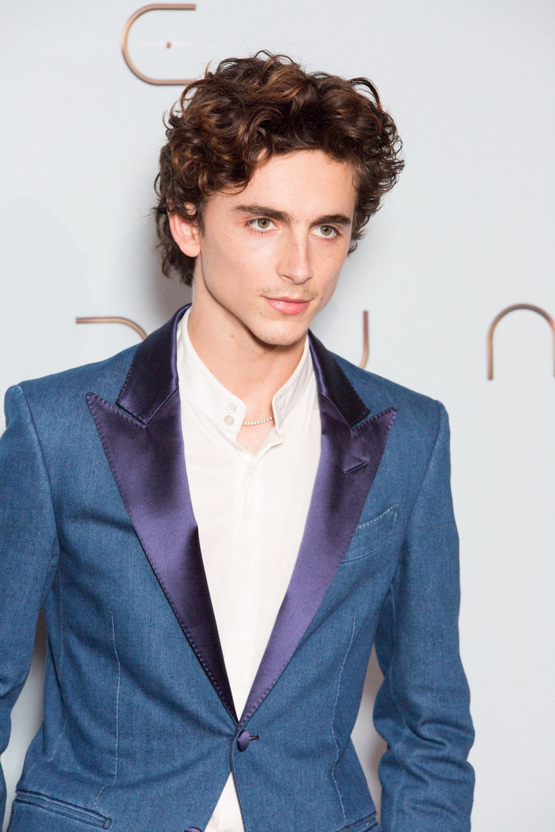 Timothee Chalamet: pic #1268102