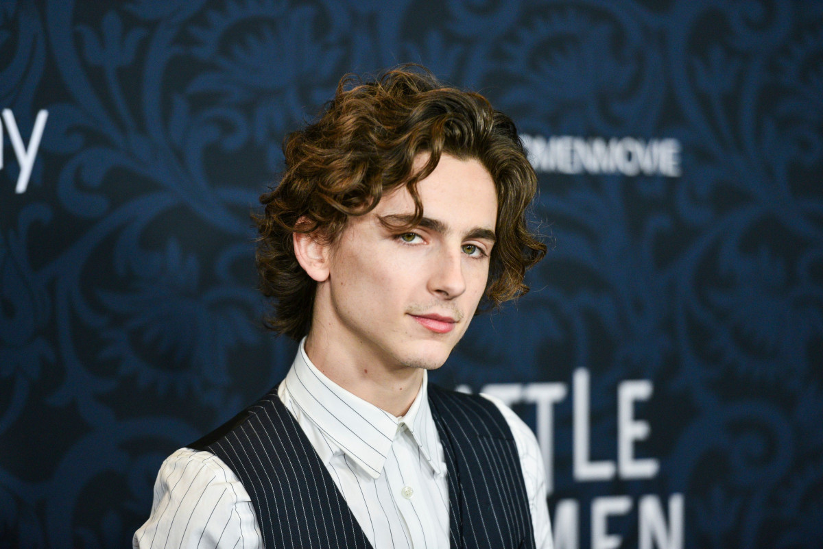 Timothee Chalamet: pic #1285542