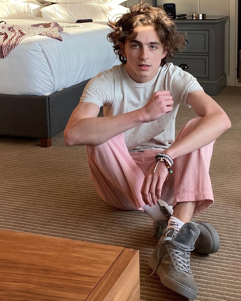 Timothee Chalamet: pic #1355428