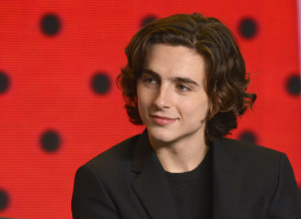 Timothee Chalamet photo #