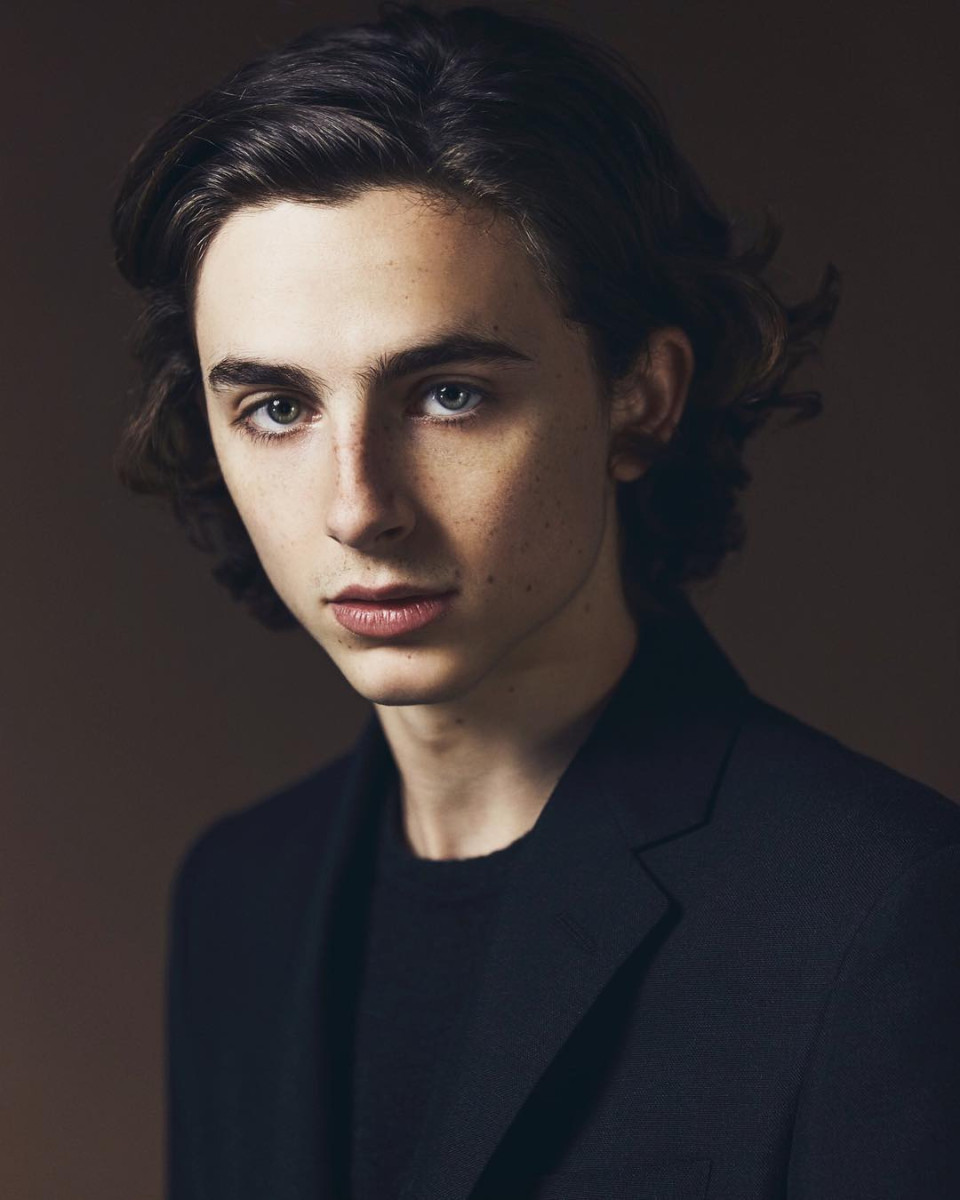 Timothee Chalamet: pic #1333329