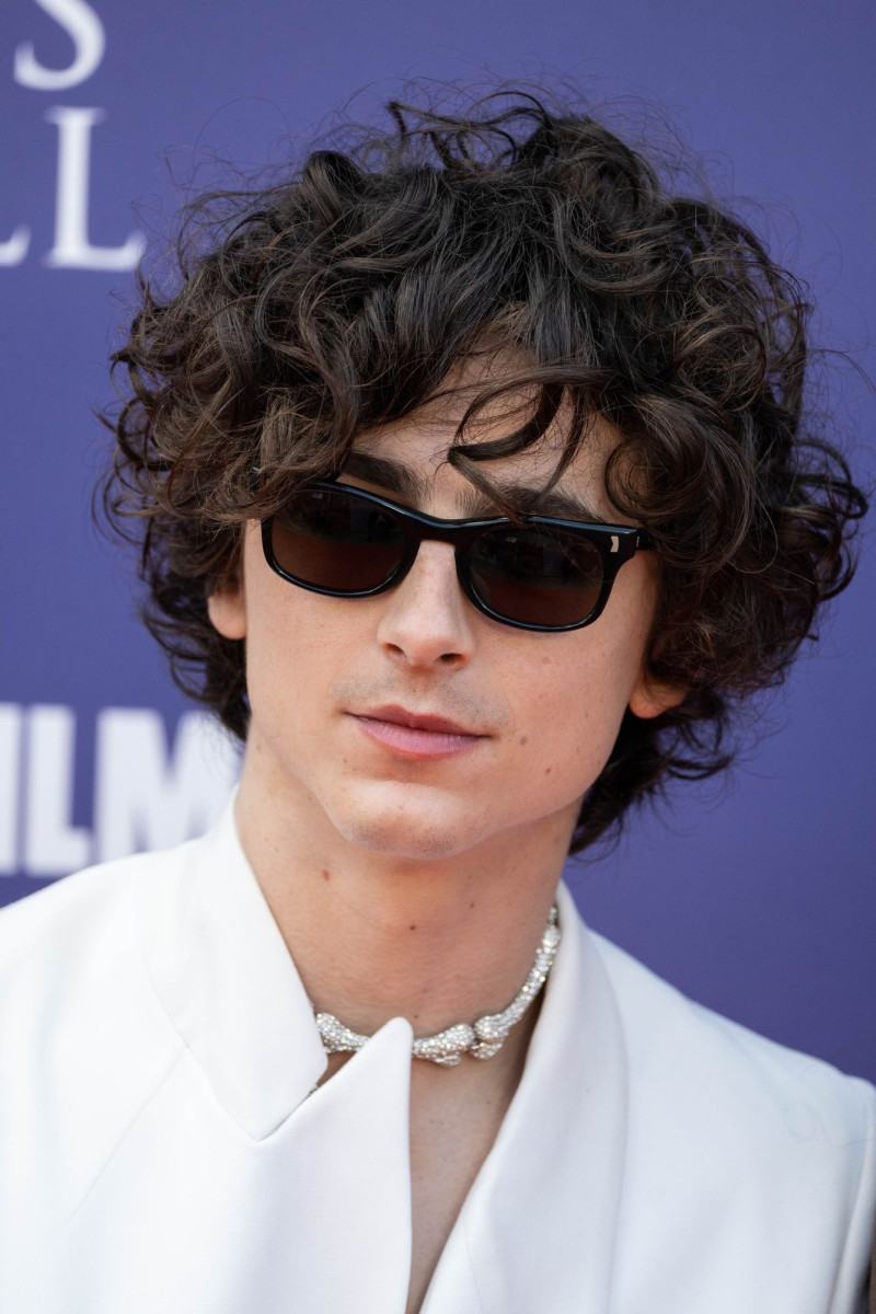 Timothee Chalamet: pic #1322729