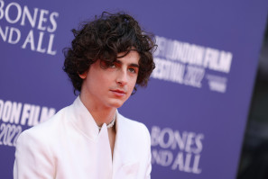 Timothee Chalamet photo #