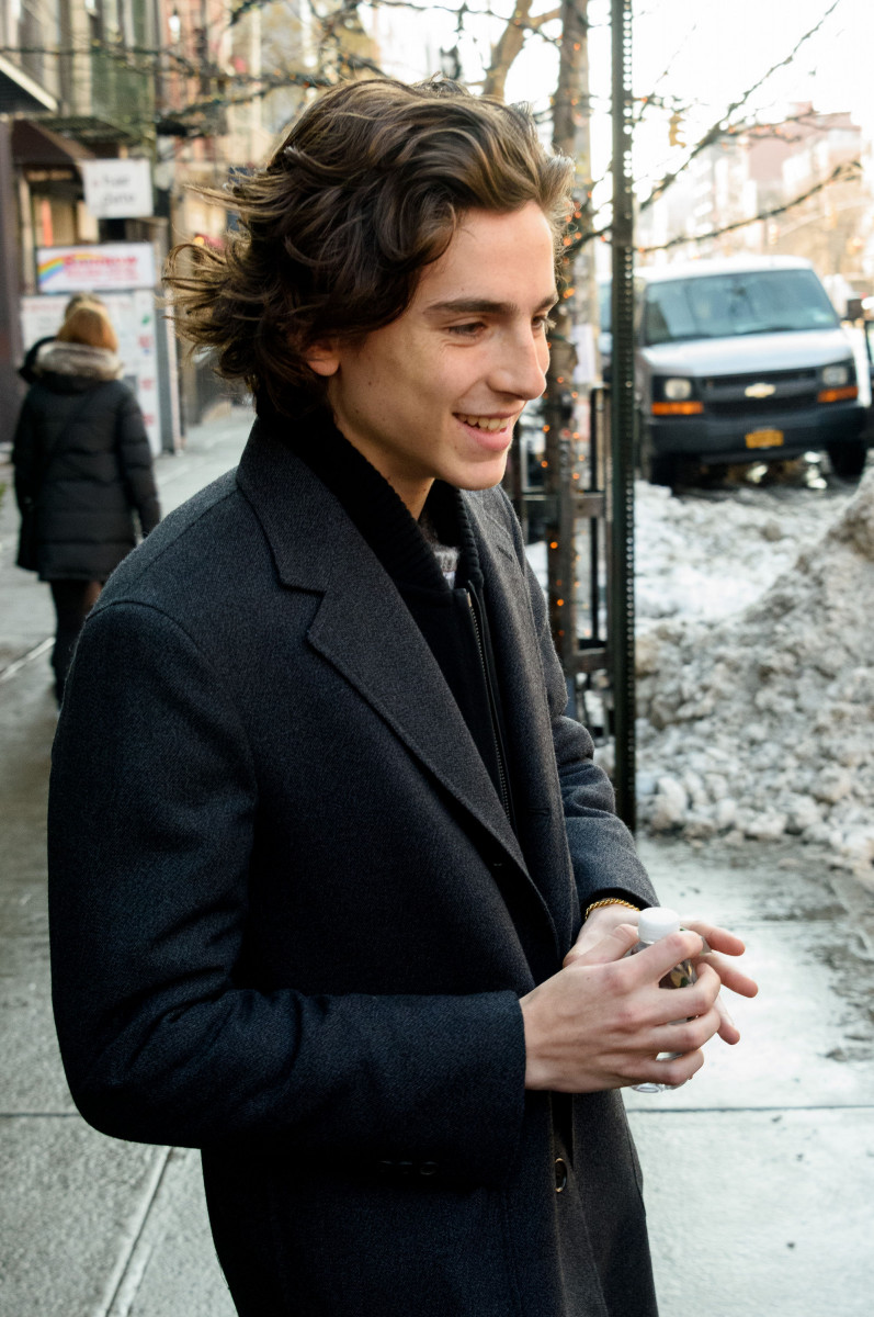 Timothee Chalamet: pic #1296640